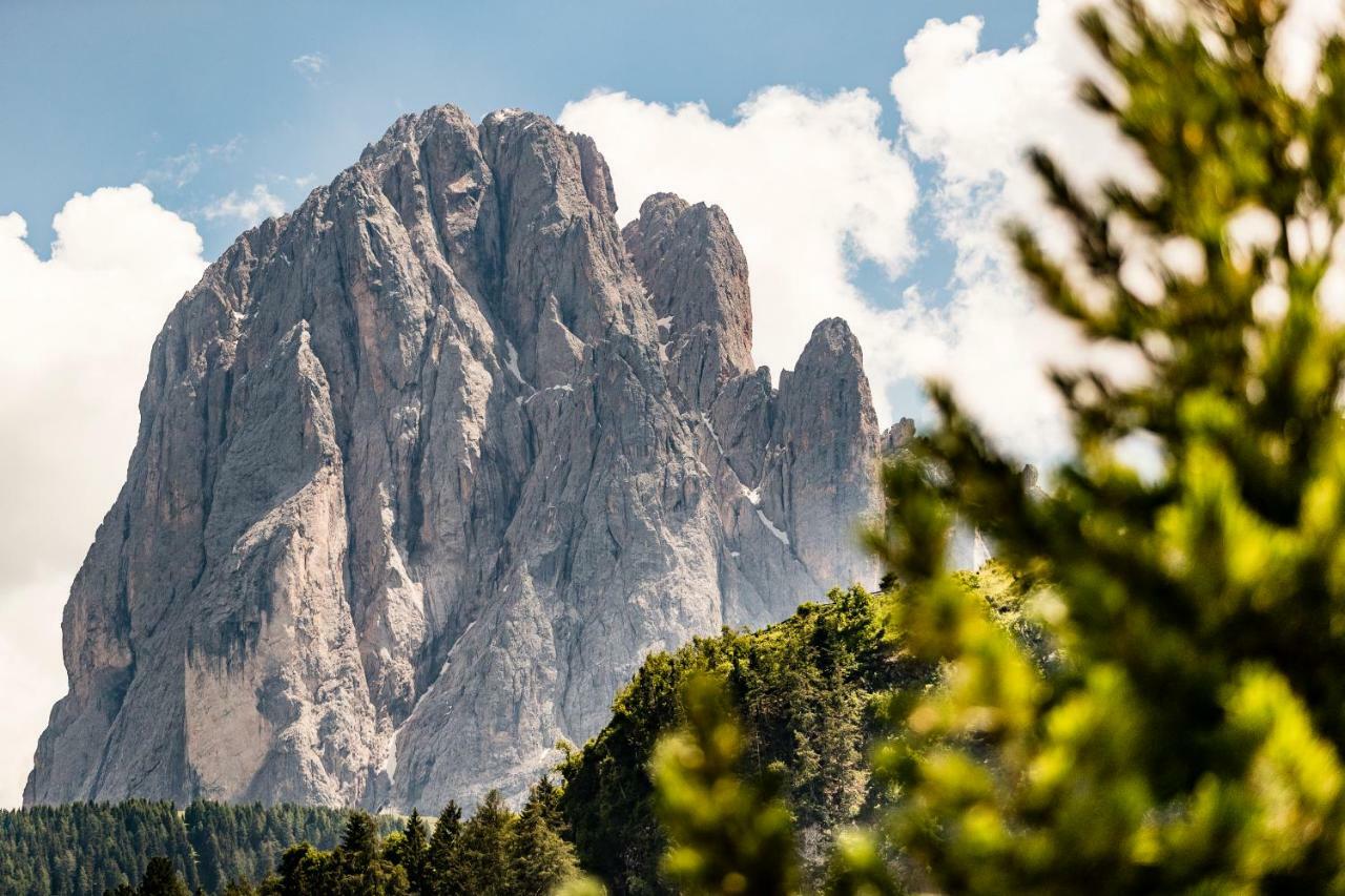 Appartamenti Hetty Santa Cristina Val Gardena Exterior foto